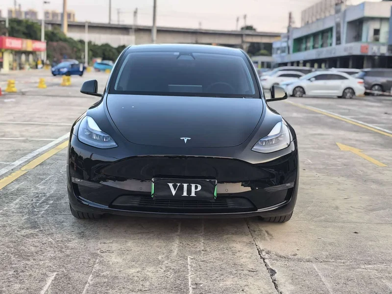 Tesla Model Y — фото 2