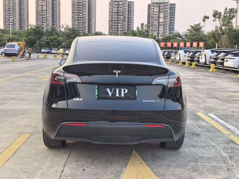 Tesla Model Y — фото 21