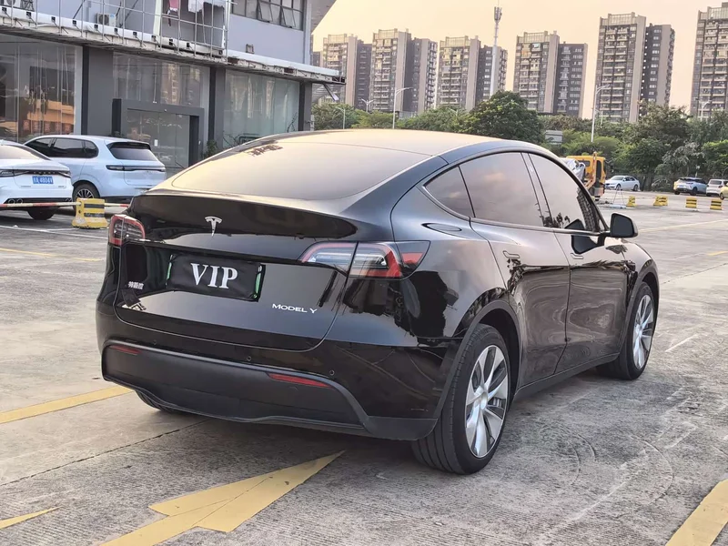 Tesla Model Y — фото 23