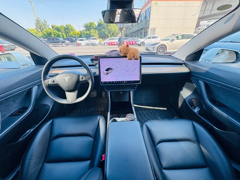 Tesla Model 3 — фото 15