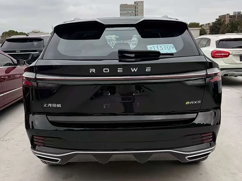 Roewe RX5 New Energy — фото 6