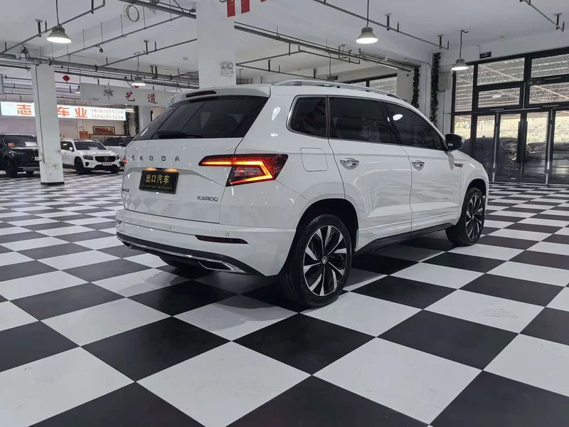 Skoda Karoq — фото 6