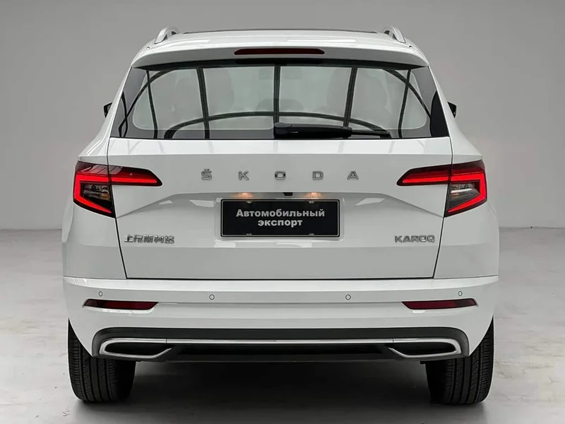 Skoda Karoq — фото 12