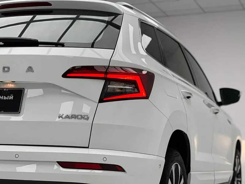 Skoda Karoq — фото 13