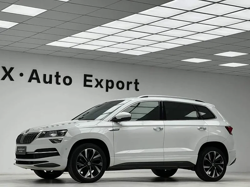 Skoda Karoq — фото 8