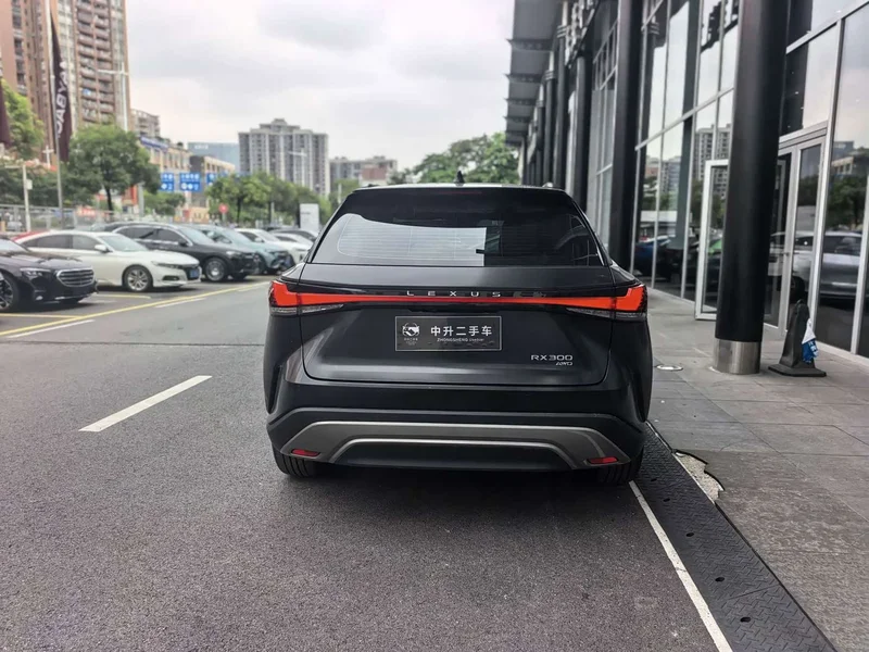 Lexus RX — фото 12