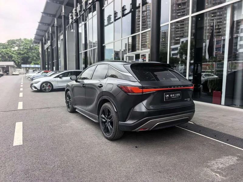 Lexus RX — фото 14