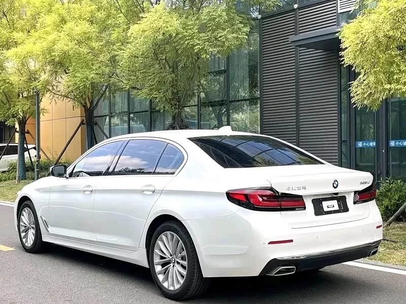BMW 5 Series (Imported) — фото 6