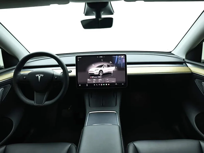 Tesla Model Y — фото 15