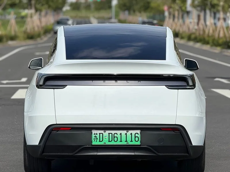 Tesla Model Y — фото 18