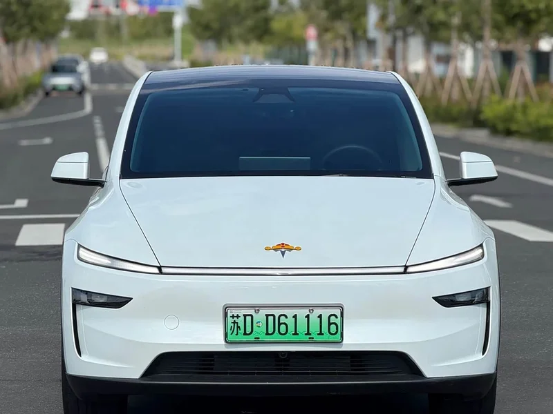 Tesla Model Y — фото 2