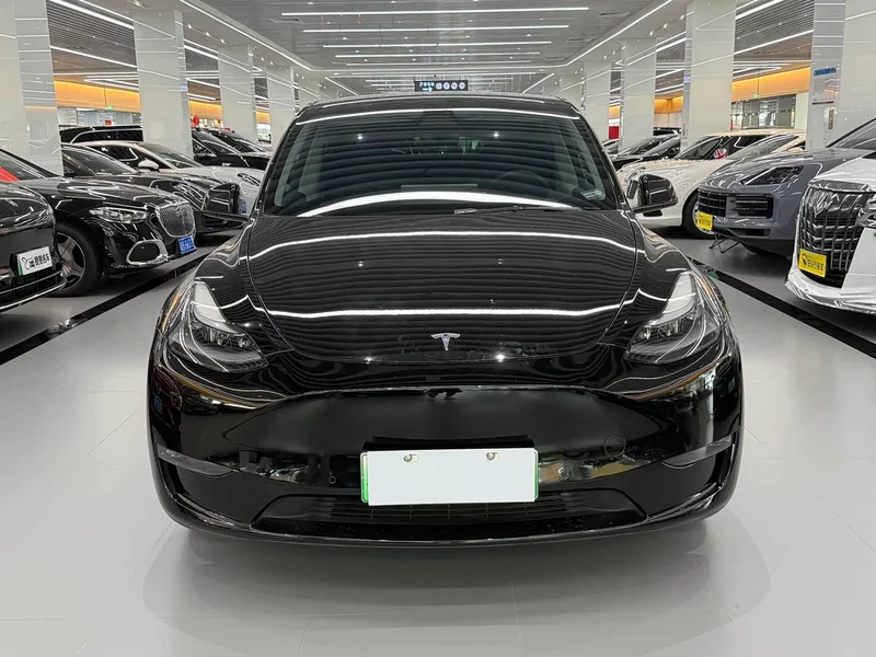 Tesla Model Y — фото 2