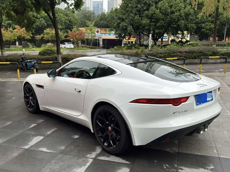 Jaguar F-TYPE — фото 9