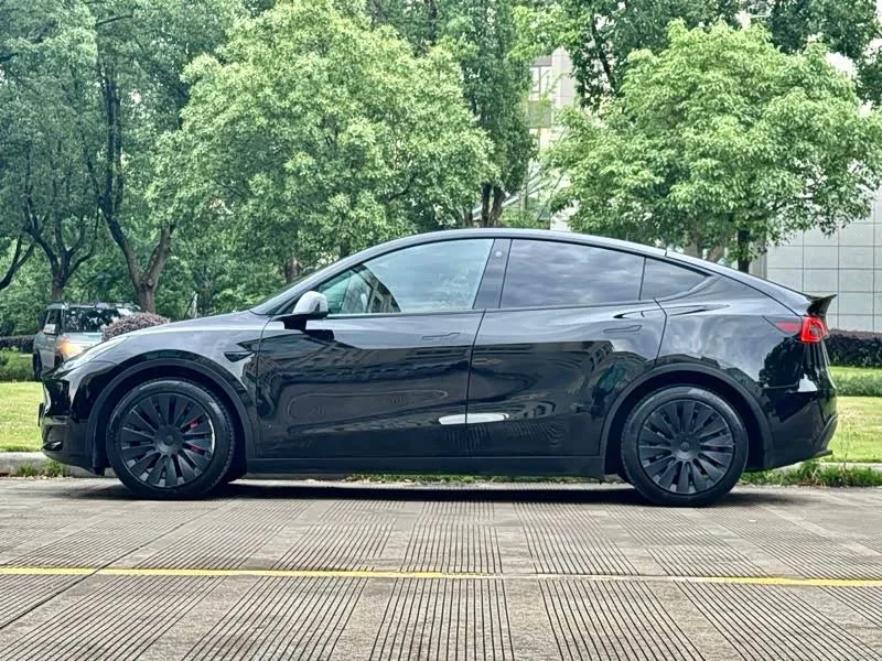 Tesla Model Y — фото 11
