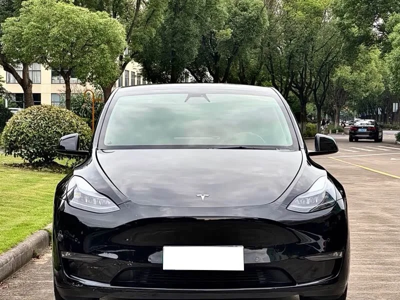 Tesla Model Y — фото 2