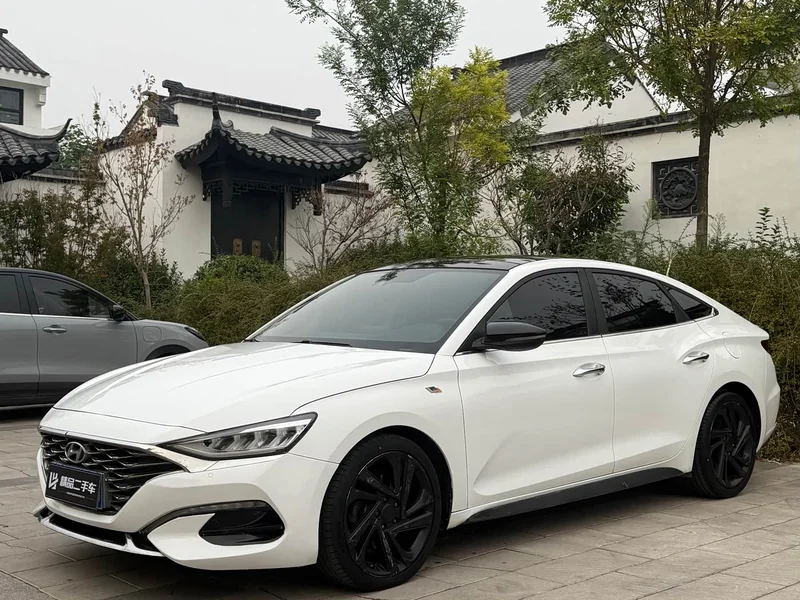 Hyundai Fista — фото 1
