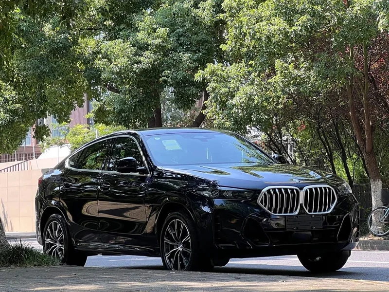 BMW X6 — фото 3