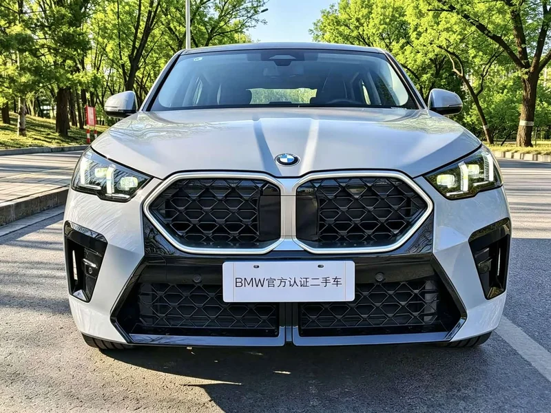 BMW X2 (Imported) — фото 2