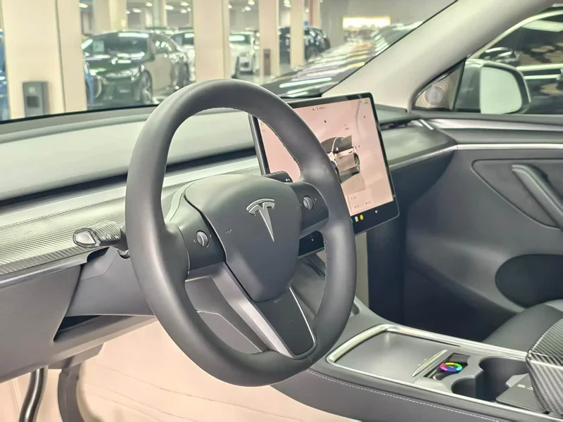 Tesla Model Y — фото 7