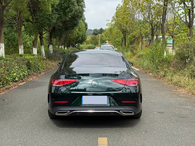 Mercedes-Benz CLS — фото 6