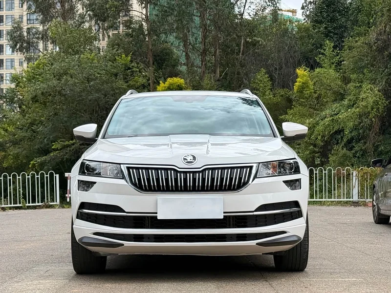 Skoda Karoq — фото 2