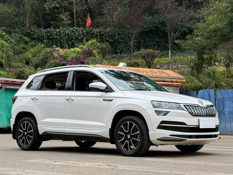 Skoda Karoq — фото 3
