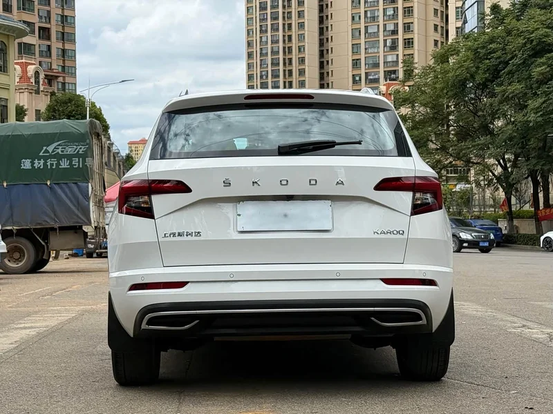 Skoda Karoq — фото 6