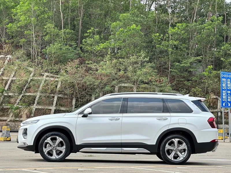 Hyundai Santa Fe — фото 16
