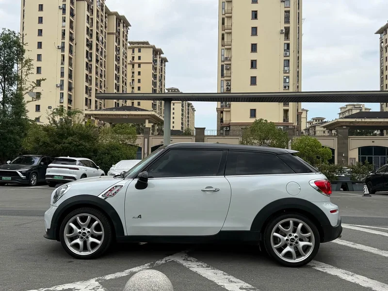 MINI PACEMAN — фото 8