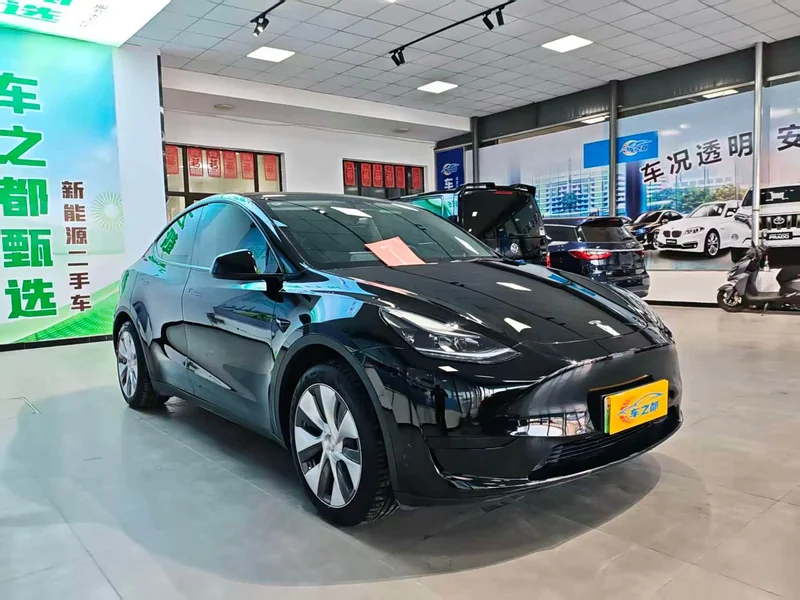 Tesla Model Y — фото 3