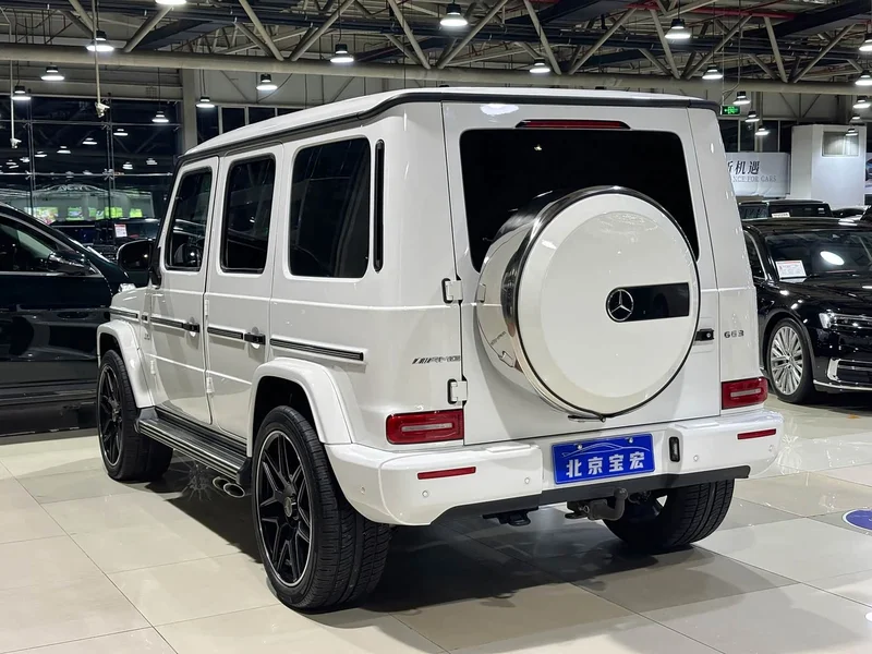 Mercedes-Benz G-Class — фото 17