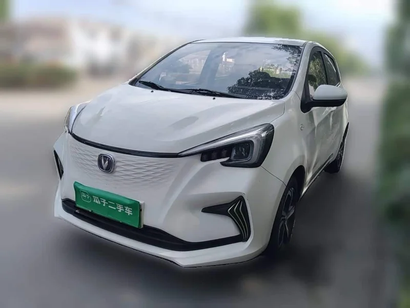 Changan Benben E-Star — фото 1