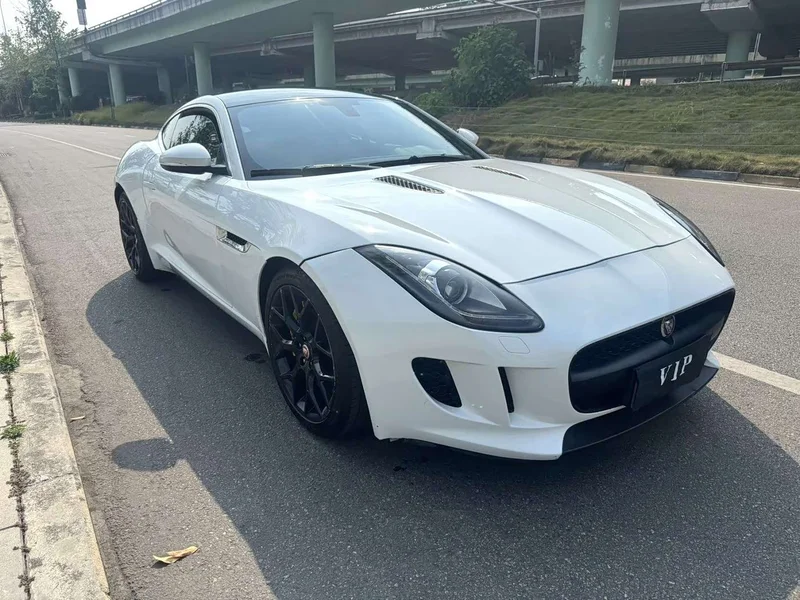 Jaguar F-TYPE — фото 3