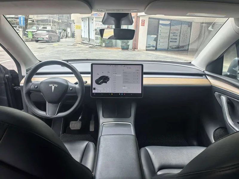 Tesla Model Y — фото 9