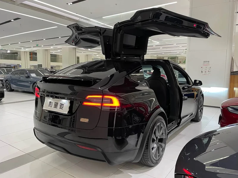 Tesla Model X — фото 3