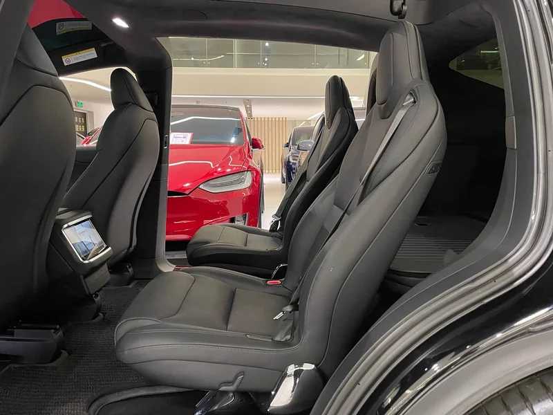 Tesla Model X — фото 6