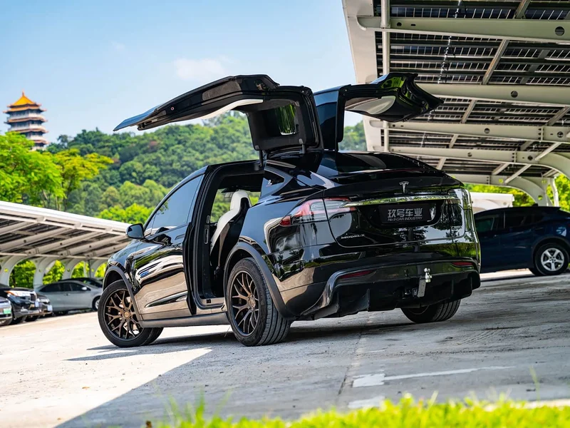 Tesla Model X — фото 11