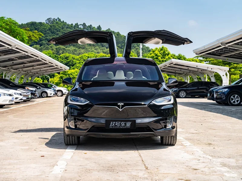 Tesla Model X — фото 10