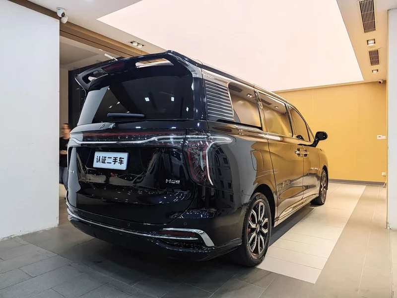 Hongqi HQ9 — фото 31