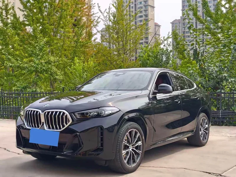 BMW X6 — фото 2