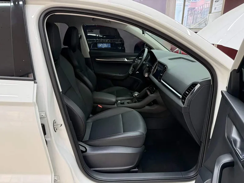 Skoda Karoq — фото 21