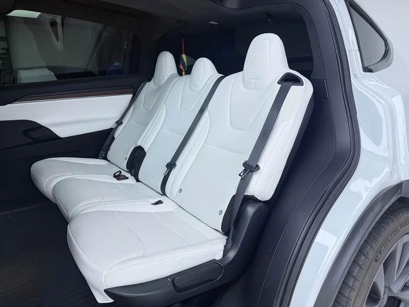 Tesla Model X — фото 12