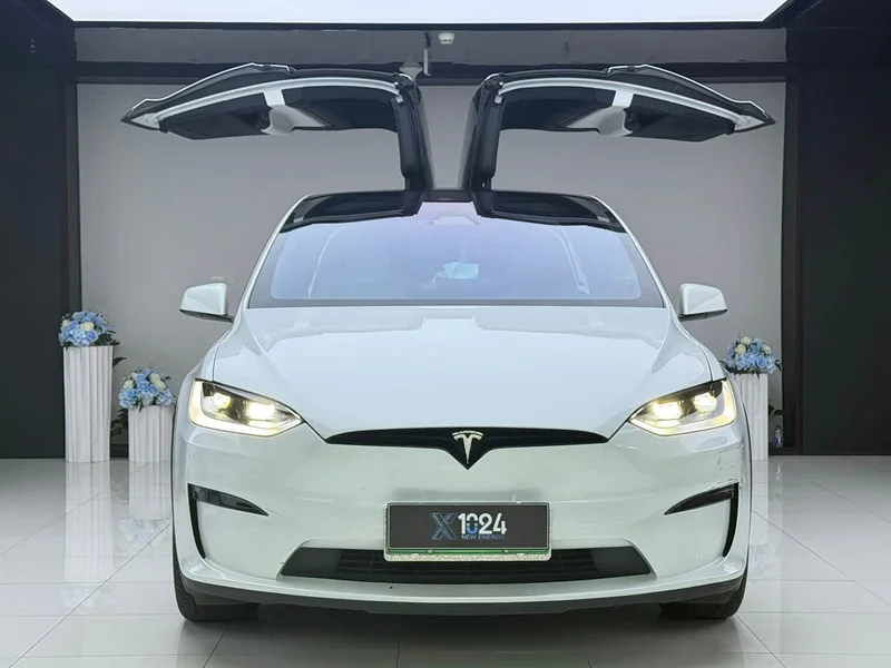 Tesla Model X — фото 2