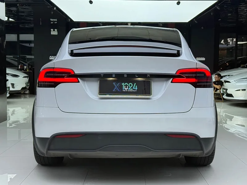 Tesla Model X — фото 5