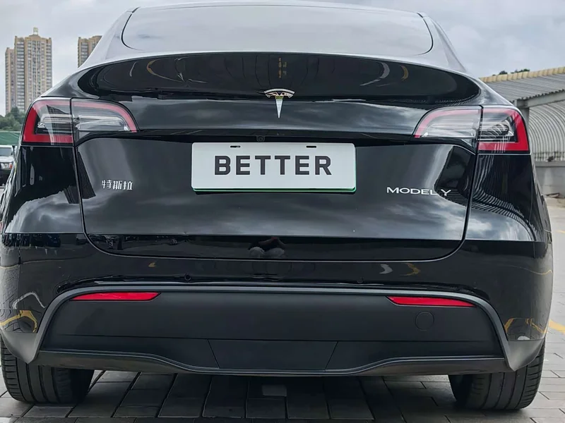 Tesla Model Y — фото 16