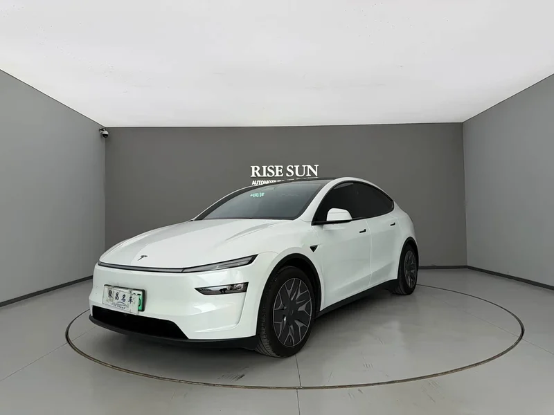 Tesla Model Y — фото 1
