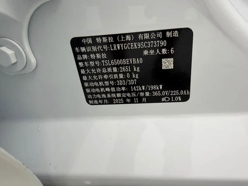 Tesla Model Y — фото 15