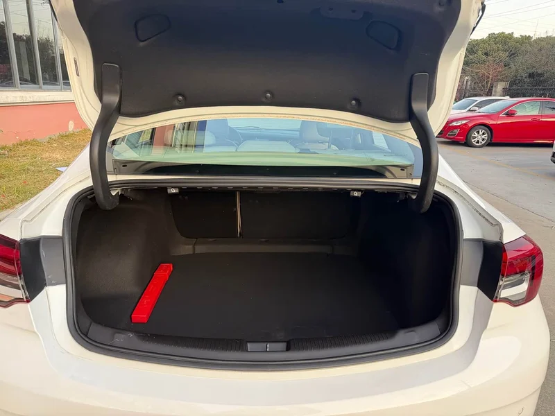 Buick Regal — фото 18