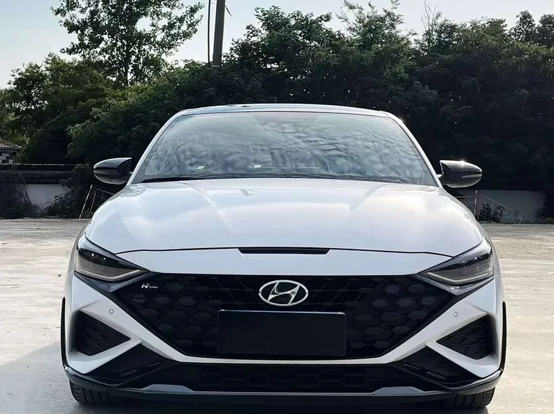 Hyundai Fista — фото 1
