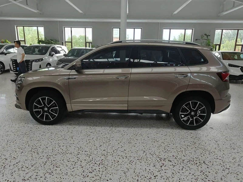 Skoda Karoq — фото 4